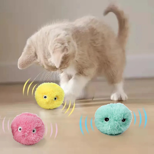 Cat Toy Interactive Ball